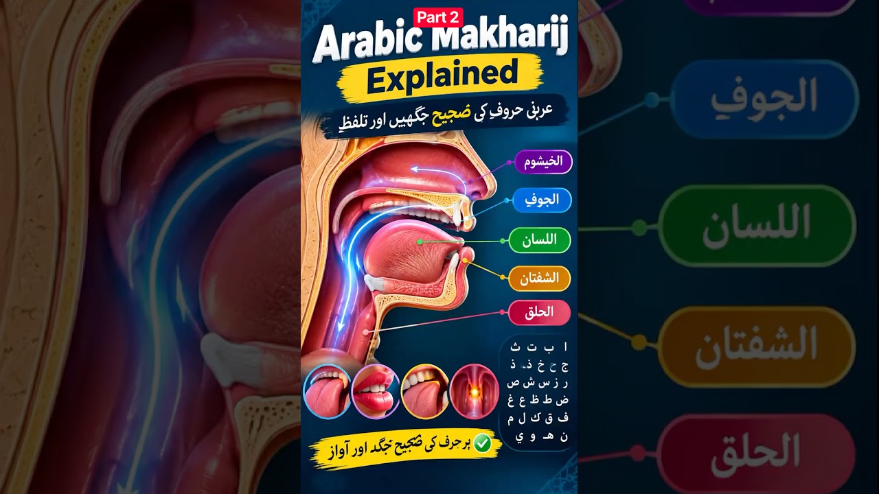 Arabic Makharij Explained Part 2 | How to Pronounce Arabic Letters Correctly?
