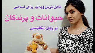 اسم حیوانات و پرندگان و حشرات به انگلیسی ـ آموزش نام حیوانات در زبان انگلیسی حرف زدن | زبانیکا