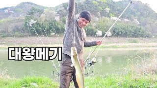 메기낚시 이걸 사용 하면 쉽게 잡습니다.