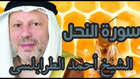 تلاوة عطرة من سورة النحل بصوت القارئ الشيخ أحمد خضر الطرابلسي