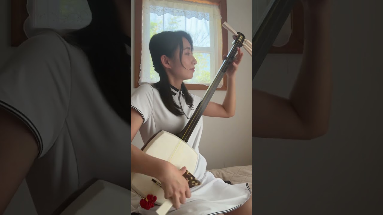 三味線でメタり/BABYMETAL 弾いてみた🏮 #japanesemusic #弾いてみた #music #shamisen #japaneseculture #駒田早代