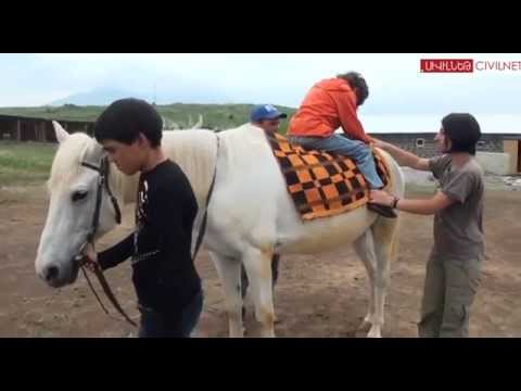 Video: Ինչպես պատրաստել ձիերի զգեստ