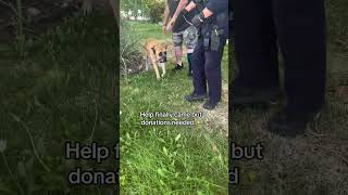https://gofund.me/a396ee280