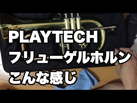 KIKUMARUさま用　プレイテックフリューゲルホルン Amazon | ホルン レッド | フリューゲルホルン | 楽器・音響機器
