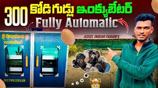 300 Eggs Fully Automatic Incubator Unboxing & Review రేటు ఎంత? ఎలా పనిచేస్తుంది?