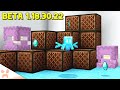 THE ALLAY!!! Sculk Updates, Shulker Duping, + more! | Minecraft Bedrock Beta 1.18.30.22