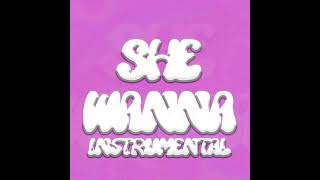 Mayday ft SD9 - She Wanna Instrumental (Official Audio) (Prod DubzCo)