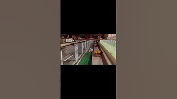 Singapore MRT inspection robot dog.