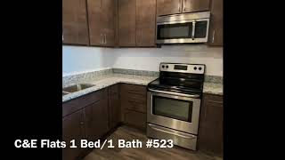 C&E Flats 1 Bed/1Bath #523 Floor Plan - A4