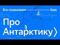 Все спрашивают — про Антарктику