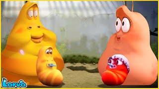 LARVA | BIG VS SMALL | CARTOON MOVIE FOR LIFE |THE BEST OF CARTOON | HILARIOUS CARTOON COMPILATION