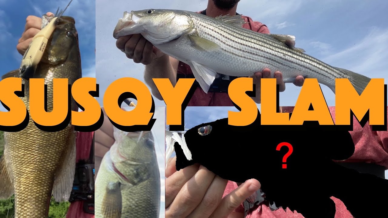 4 Species of Bass in One Day! Striped, Largemouth, Smallmouth, and