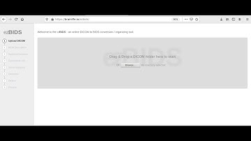 ezBIDS tutorial