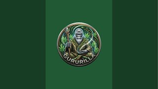 Gururilla ist live