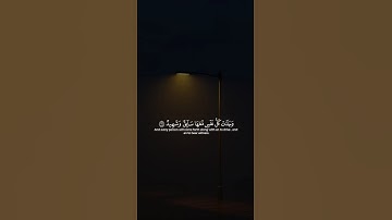 اكتب شيء تؤجر عليه 😴💚 قران كريم | ياسر الدوسري