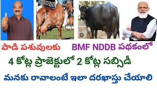 How to get 2 crores subsidy of 4 crores in Breed Multiplication Farm-NDDB for Dairy Farming Telugu