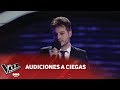 F. Panetta - "Me dediqué a perderte" - Leonel García - Audición a ciegas - La Voz Argentina 2018