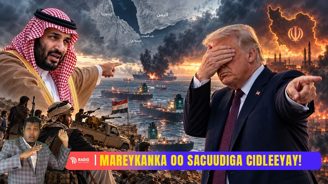 Latest Title & Thumbnail