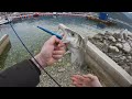 Sea bass catch  cook  live strike on surface lure