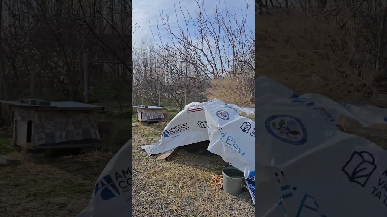 Клепа  в своей стихии 