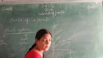 EVS, Ch-6 World of plant Part-1 Class-4