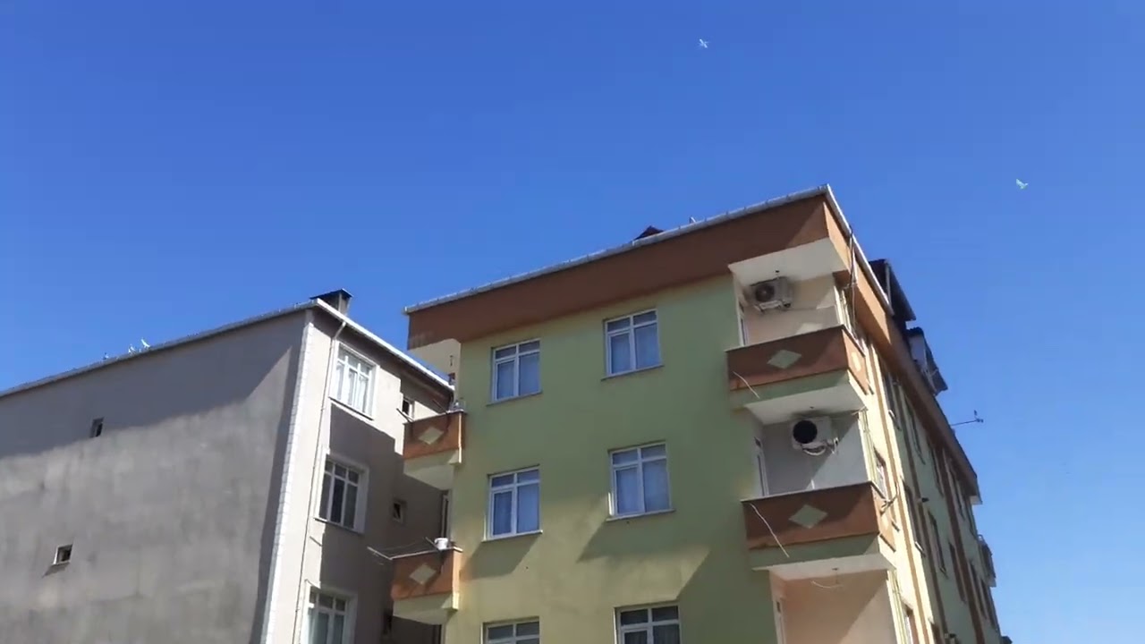 Postaya rüzgar fırtına fark etmez imha timi gibi maşallah 