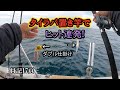 タイラバ置き竿で青物、根魚など釣れました！タイラバとイワシのダブル仕掛けは最強です！