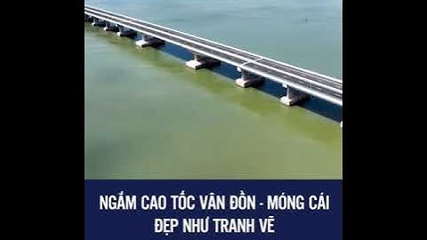 khánh thành cao tốc móng cái vân đồn đẹp nhất vn vào ngày  1/9/2022