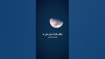 سورة يس (الآيات 37 إلى 40) عظمة خلق الله في الليل والنهار، والشمس والقمر، والنظام الكوني البديع