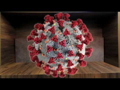 PLATINA GROUP BATUMI - კარგ მთქმელს კარგი გამგონე უნდაო