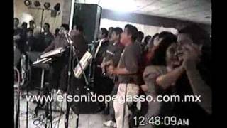 PEGASSO - LA VI LLORAR (3)