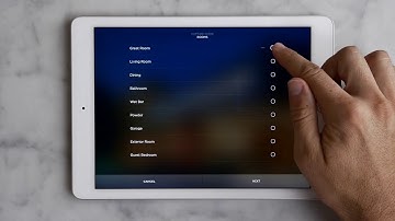 Savant Creating a Savant Scene