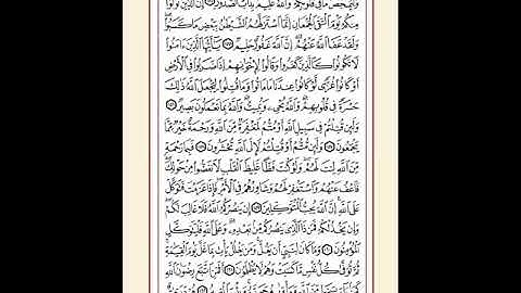 إعراب القرآن وتوجيه القراءات سورة آل عمران 159بشرح الشيخ عبد العزيز الفيومي
