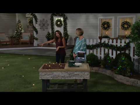 Lawn Lights Illuminated LED Outdoor Lighting Display on QVC