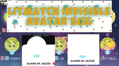 invisible avatar litmatch bug (use lower version)