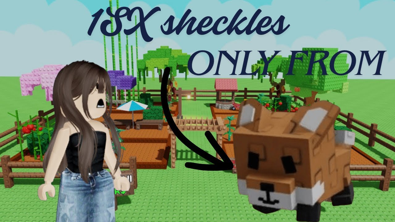 How to go from 0 sheckles to 1sx sheckles in under 24 hours🌄💜