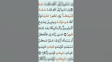 سورة التحريم ياسر الدوسري من 3-6#القرآن_الكريم