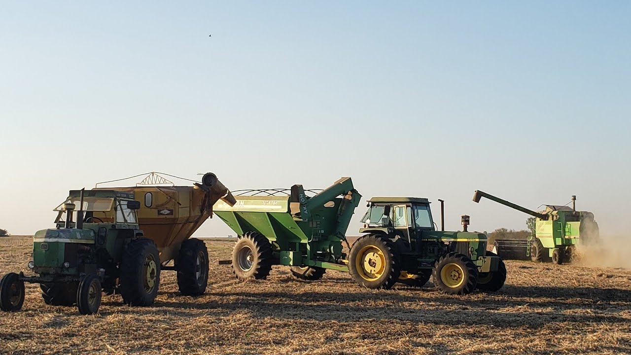 La tan esperada cosecha de soja