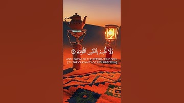 #قران_كريم #المصحف #صلوا_على_النبي #راحة_نفسية #تلاوة_خاشعة #تلاوة_نادرة_لاول_مرة #حالات_واتساب