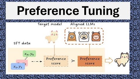 What is Preference Tuning?