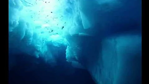 Ozric Tentacles- Oakum