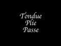 AdultBallet Barre Tondue Relevae Passe の動画、YouTube動画。