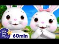 Bunny Song! | +More Little Baby Bum Kids Songs and Nursery Rhymes