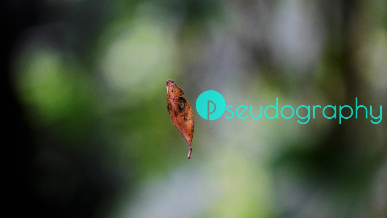 Pseudography Live Stream