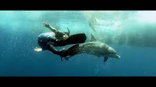 A Cinematic GoPro Video Underwater - INTO THE OCEAN by Ryuta Ogawa 3,576 views 3 years ago 2 minutes, 44 seconds