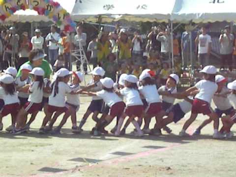 ナオの運動会③　綱引き