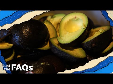 Mexico avocado ban: Will there be shortages, higher prices? | JUST THE FAQS