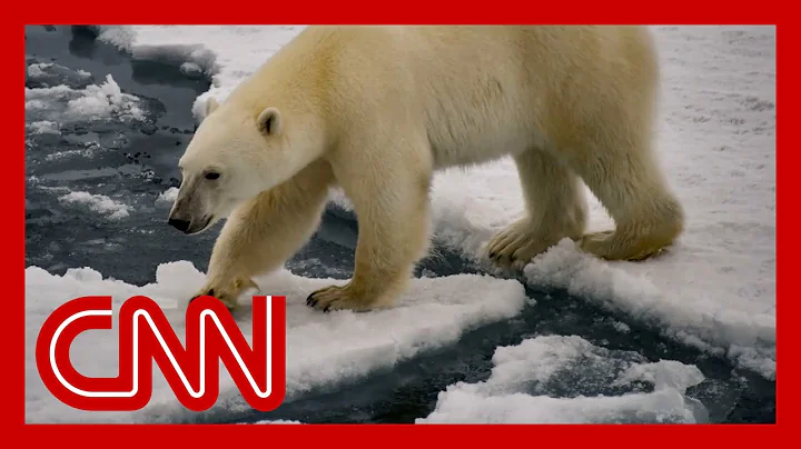 Study warns Arctic could be sea ice-free by the 2030s - DayDayNews
