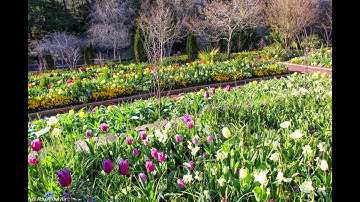 تلاوة خاشعة من سورة الشورى الشيخ  (عبد الله الموسى)