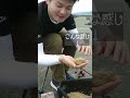 にぎりにぎられ🍙 堤防ダンゴ遊び #だんご釣り#堤防釣り